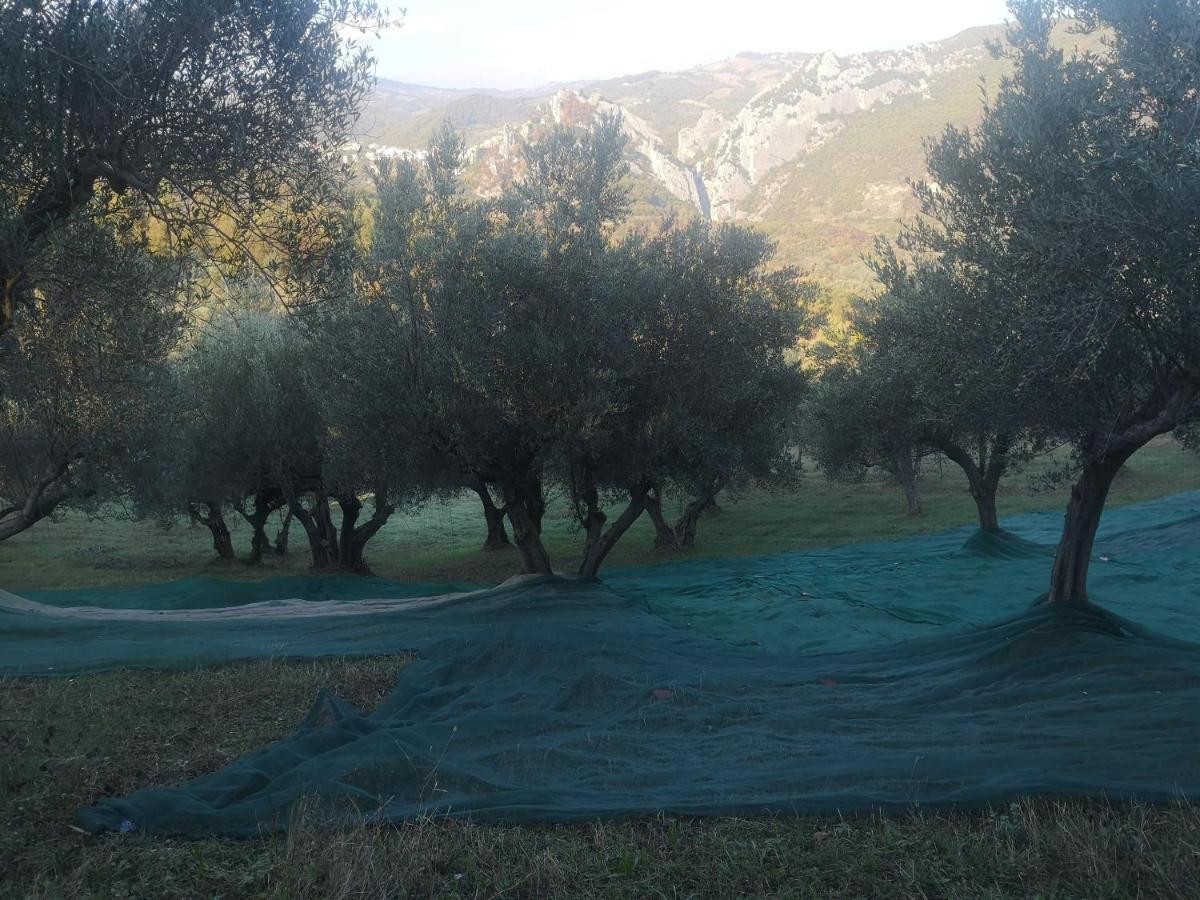 Agriturismo Olimpo Villa Santa Maria  Kültér fotó