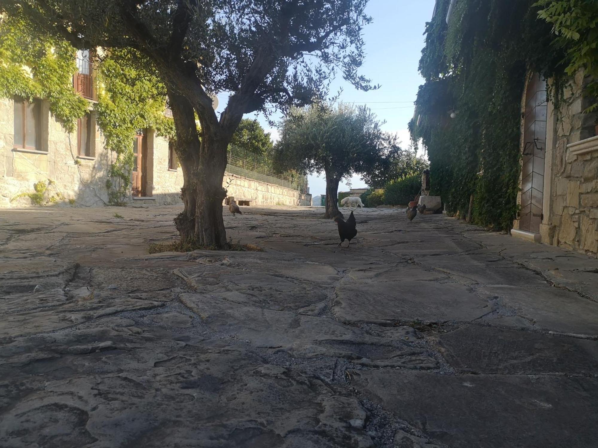 Agriturismo Olimpo Villa Santa Maria  Kültér fotó